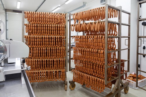某食品厂肉制品废水处理稳定达标的改造实践